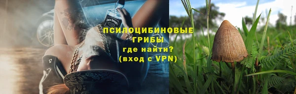 СК Абаза