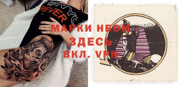 гидра Алексин
