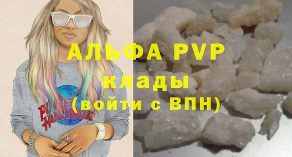 гидра Алексин